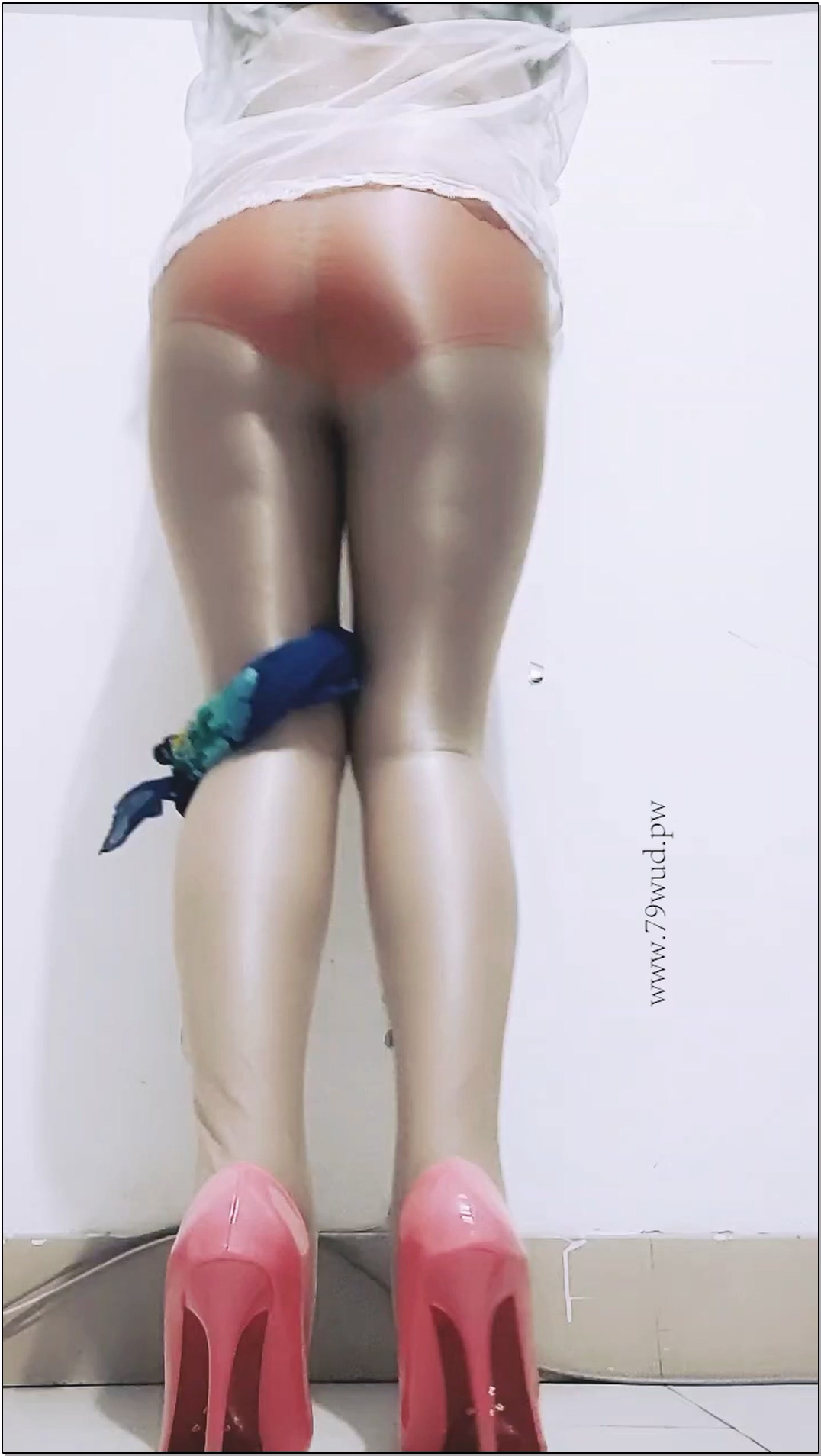 广场舞 舞梦初起2022年第一期 合集